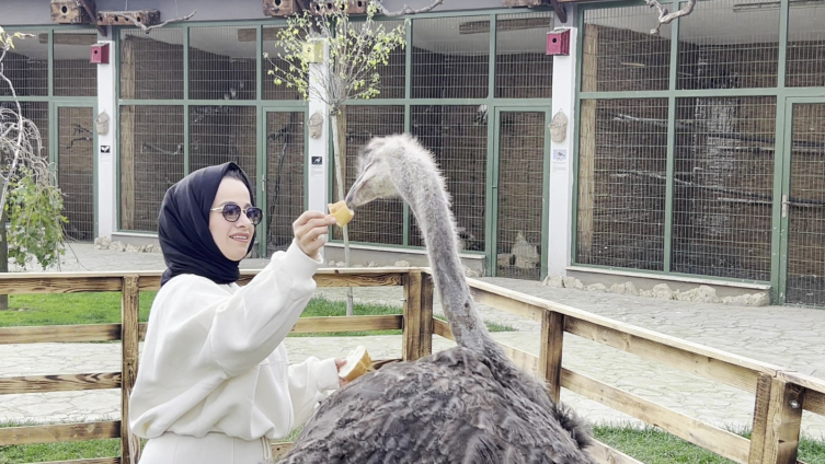 Doğaseverlerin yeni adresi: İstanbul Kuş Cenneti